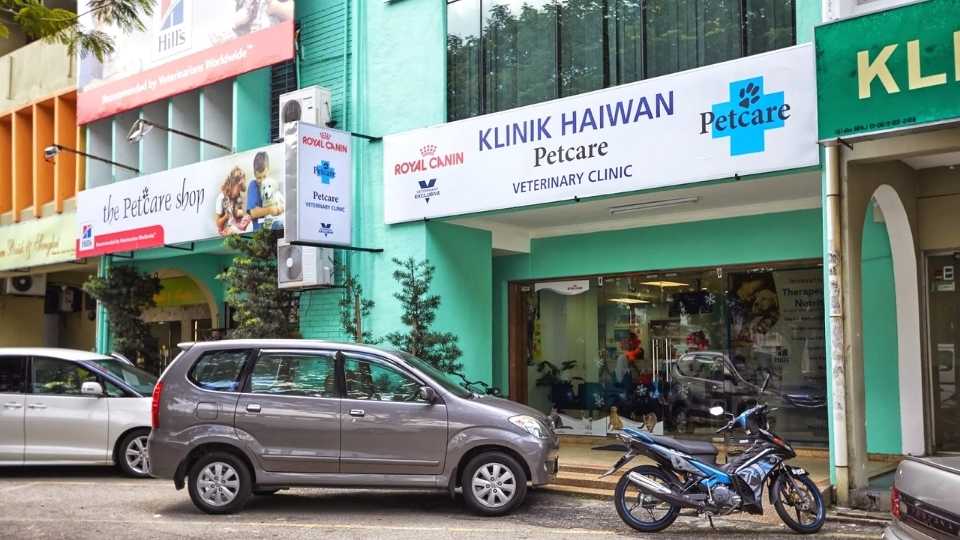 2023 Guide 11 Best Vet Clinics in KL and Selangor